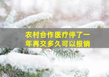 农村合作医疗停了一年再交多久可以报销