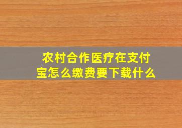 农村合作医疗在支付宝怎么缴费要下载什么