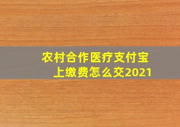 农村合作医疗支付宝上缴费怎么交2021