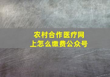 农村合作医疗网上怎么缴费公众号