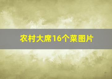 农村大席16个菜图片