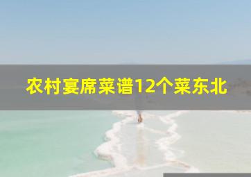 农村宴席菜谱12个菜东北