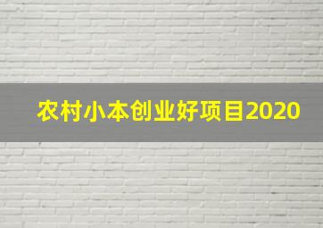 农村小本创业好项目2020