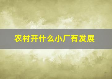 农村开什么小厂有发展