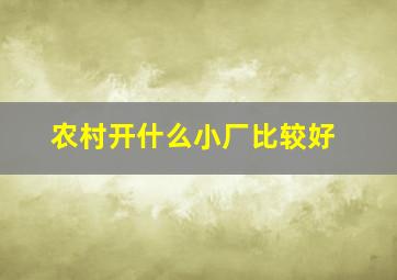 农村开什么小厂比较好