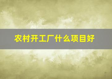 农村开工厂什么项目好