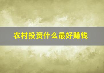 农村投资什么最好赚钱