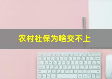 农村社保为啥交不上