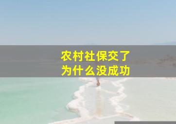 农村社保交了为什么没成功