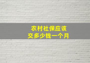 农村社保应该交多少钱一个月