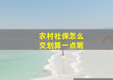 农村社保怎么交划算一点呢