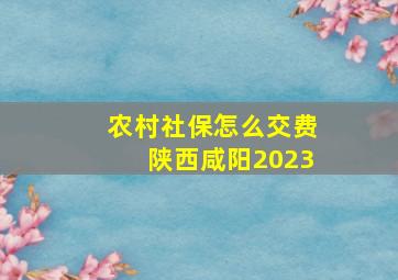 农村社保怎么交费陕西咸阳2023