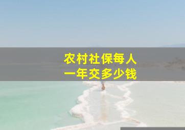 农村社保每人一年交多少钱