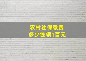 农村社保缴费多少钱领1百元