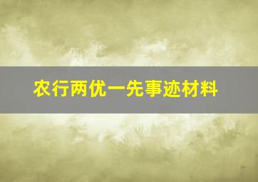 农行两优一先事迹材料