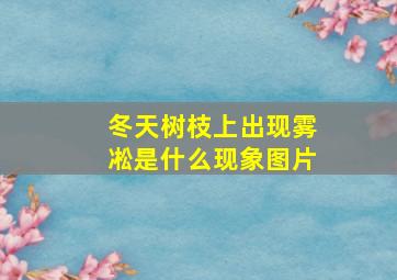 冬天树枝上出现雾凇是什么现象图片