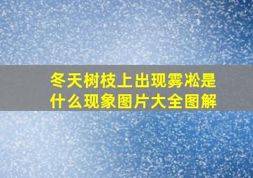 冬天树枝上出现雾凇是什么现象图片大全图解