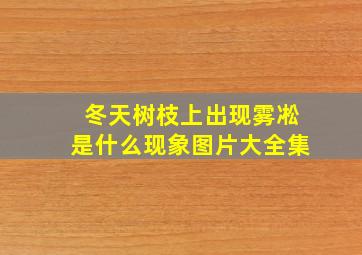 冬天树枝上出现雾凇是什么现象图片大全集