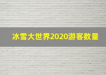 冰雪大世界2020游客数量