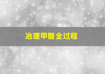 冶理甲醛全过程