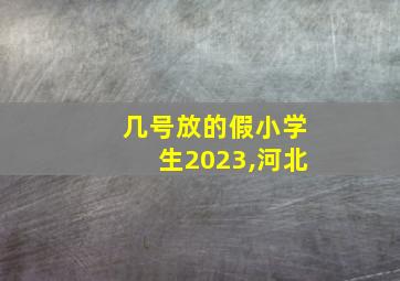 几号放的假小学生2023,河北