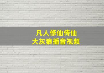 凡人修仙传仙大灰狼播音视频