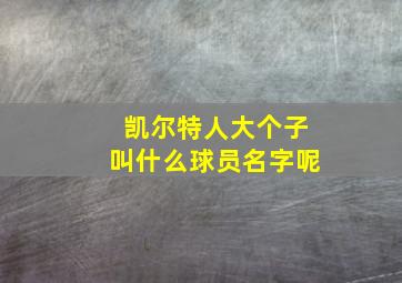 凯尔特人大个子叫什么球员名字呢