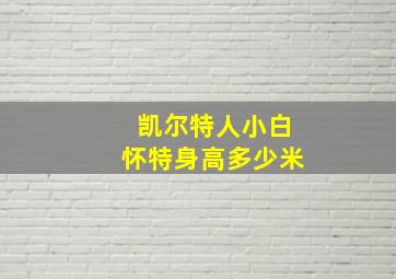 凯尔特人小白怀特身高多少米