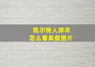 凯尔特人球衣怎么看真假图片