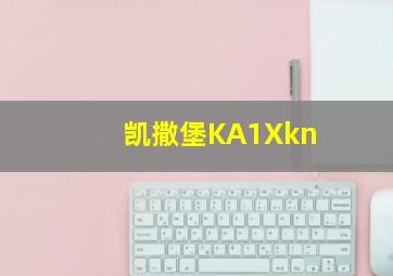 凯撒堡KA1Xkn