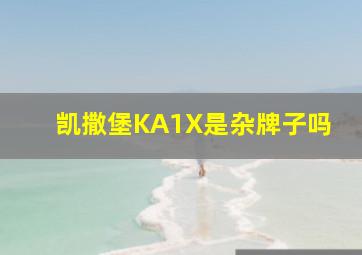 凯撒堡KA1X是杂牌子吗