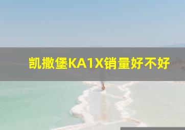 凯撒堡KA1X销量好不好