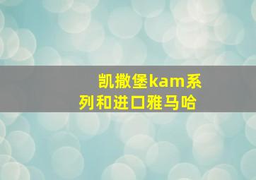 凯撒堡kam系列和进口雅马哈