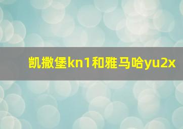 凯撒堡kn1和雅马哈yu2x