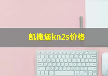 凯撒堡kn2s价格