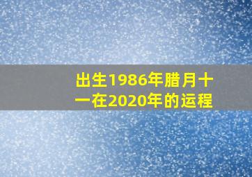 出生1986年腊月十一在2020年的运程