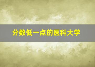 分数低一点的医科大学