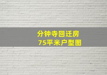 分钟寺回迁房75平米户型图