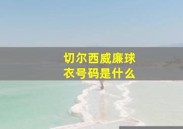 切尔西威廉球衣号码是什么