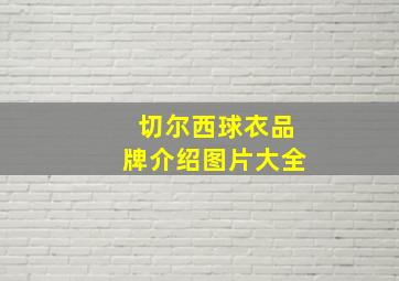 切尔西球衣品牌介绍图片大全