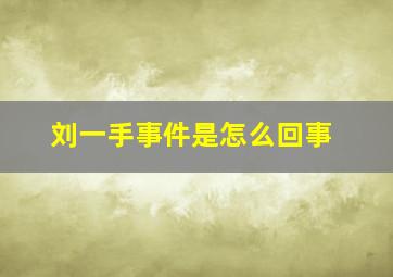 刘一手事件是怎么回事