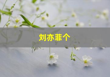 刘亦菲个