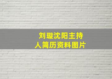 刘璇沈阳主持人简历资料图片