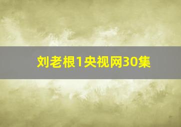 刘老根1央视网30集