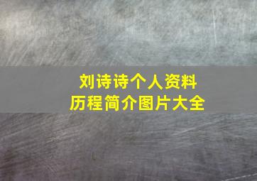 刘诗诗个人资料历程简介图片大全