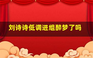 刘诗诗低调进组醉梦了吗