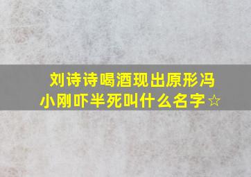 刘诗诗喝酒现出原形冯小刚吓半死叫什么名字☆