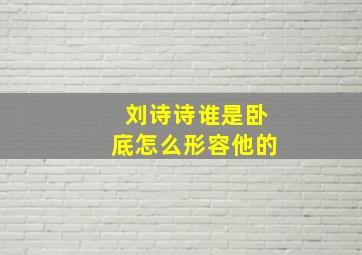 刘诗诗谁是卧底怎么形容他的