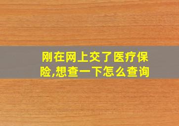 刚在网上交了医疗保险,想查一下怎么查询