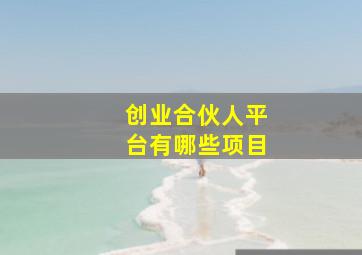 创业合伙人平台有哪些项目